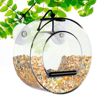 BirdMaster Acrylic Circular Window Bird Feeder – The Best Designed Window Bird Feeder