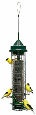 Squirrel-Buster Brome Finch Bird Feeder