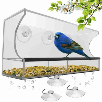 Best Window Bird Feeder – Nature’s Hangout Window Bird Feeder with Ledge