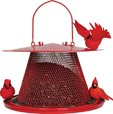 Bird Feeders for Cardinals: Reviews of the 9 Best Options